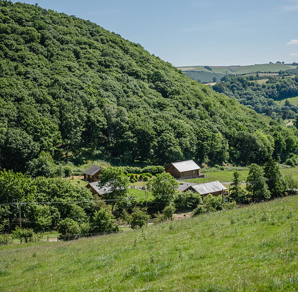 View of the stunning woodland setting of black hall lodges