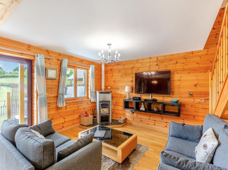 Living area with wood burner and widescreen TV